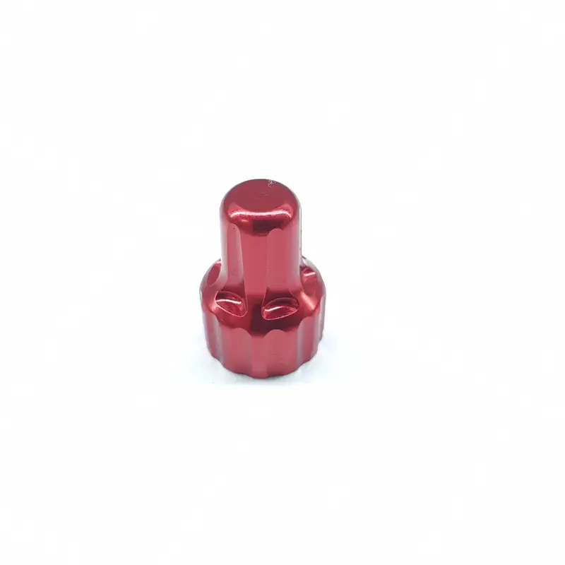Plug+Valve+Rubber Ring Mtb 08